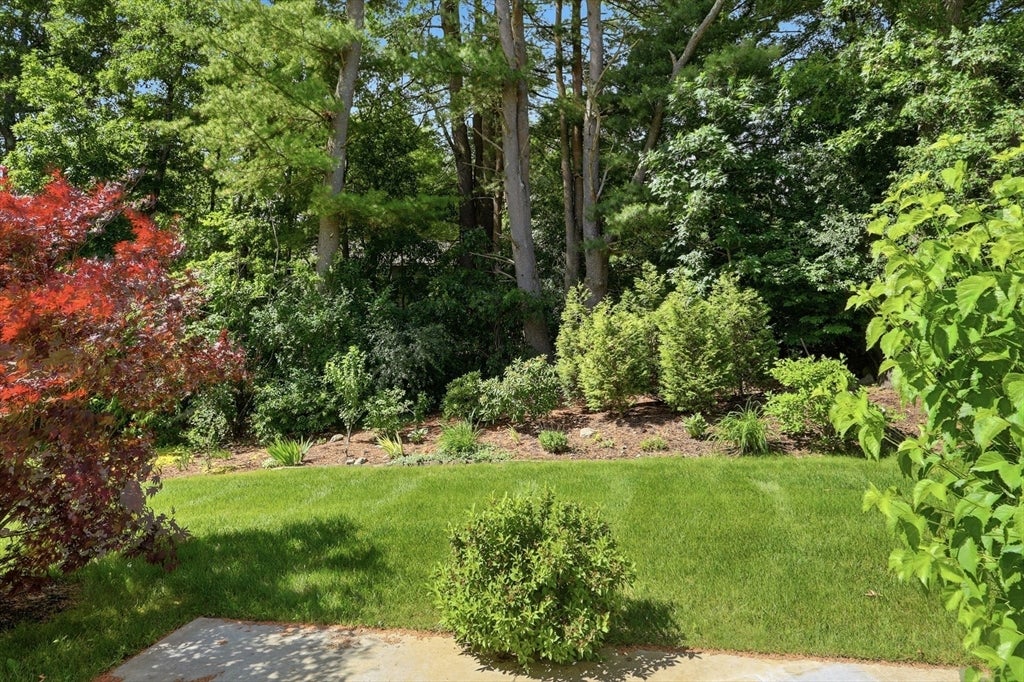 6 Bluebird Way 6