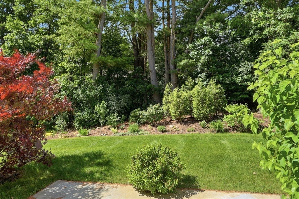 6 Bluebird Way 6