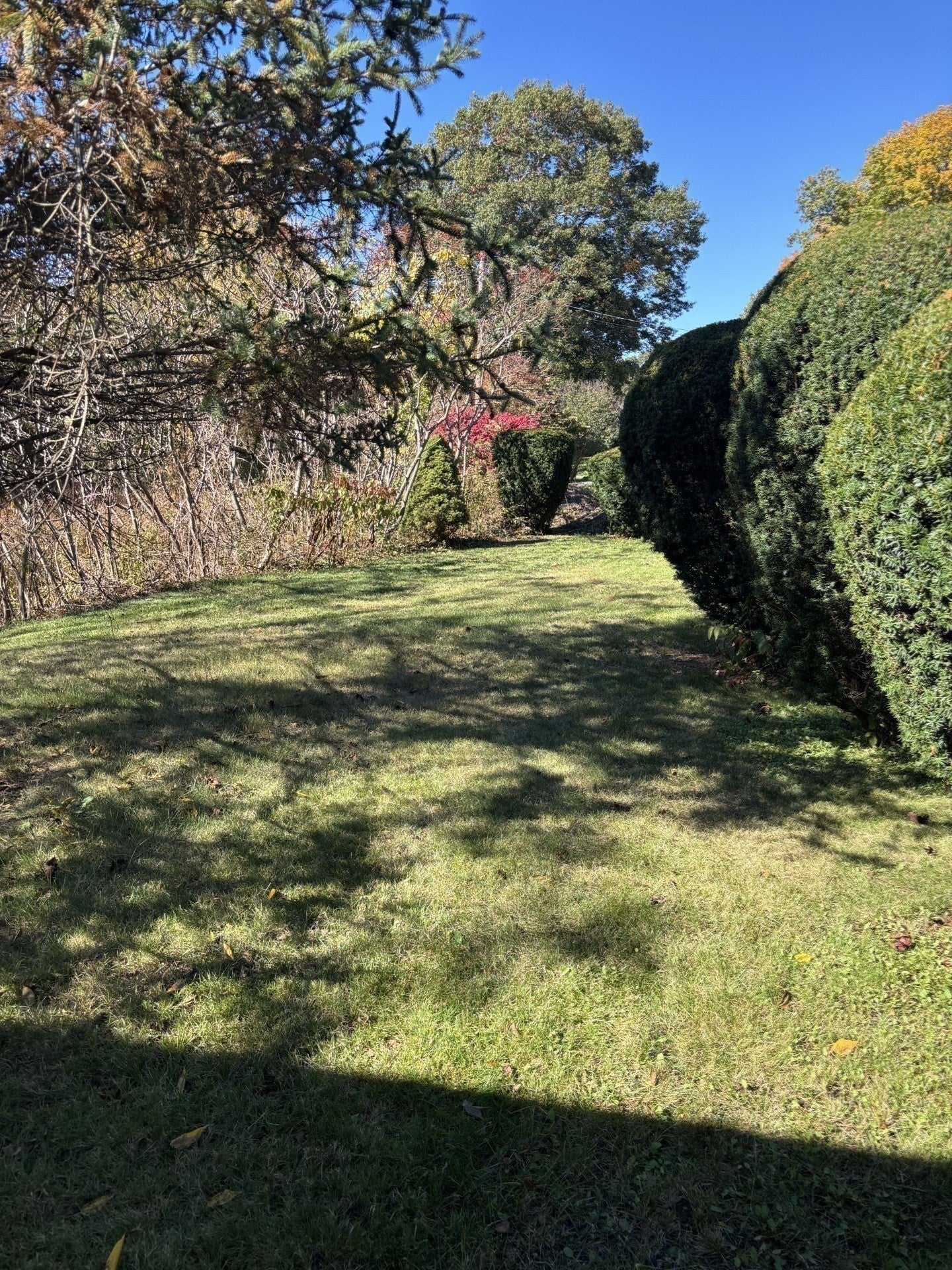 448 Essex St, Beverly, MA, 448 Essex St, Beverly, MA Photo #17