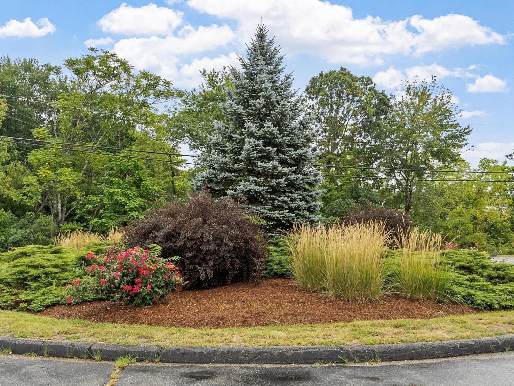 20B Washington Park Dr #6, Andover, MA, 20B Washington Park Dr #6, Andover, MA Photo #20