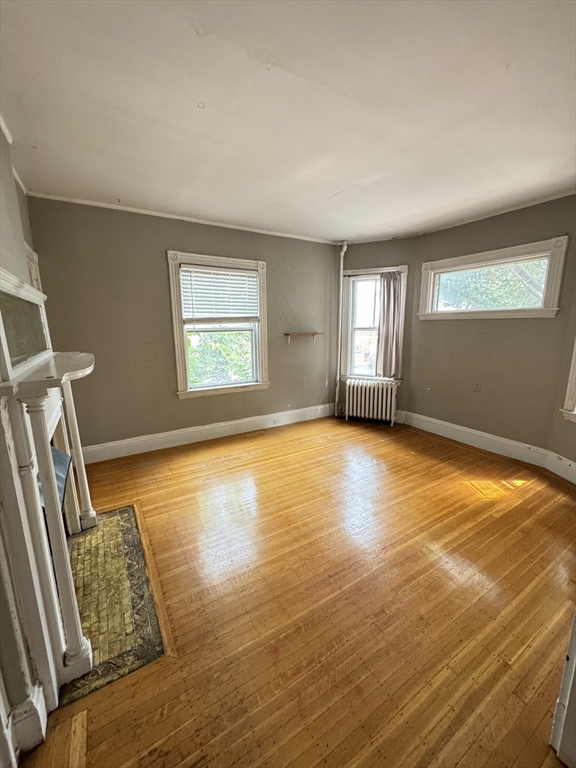 4 Woodstock Ave #1, Boston, MA Photo #6