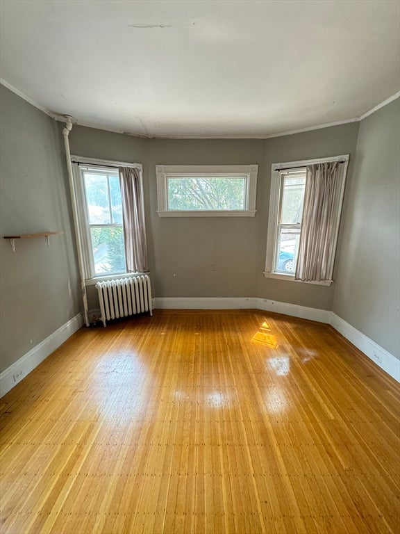 4 Woodstock Ave #1, Boston, MA Photo #5