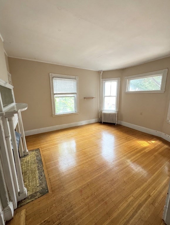 4 Woodstock Ave #1, Boston, MA Photo #4