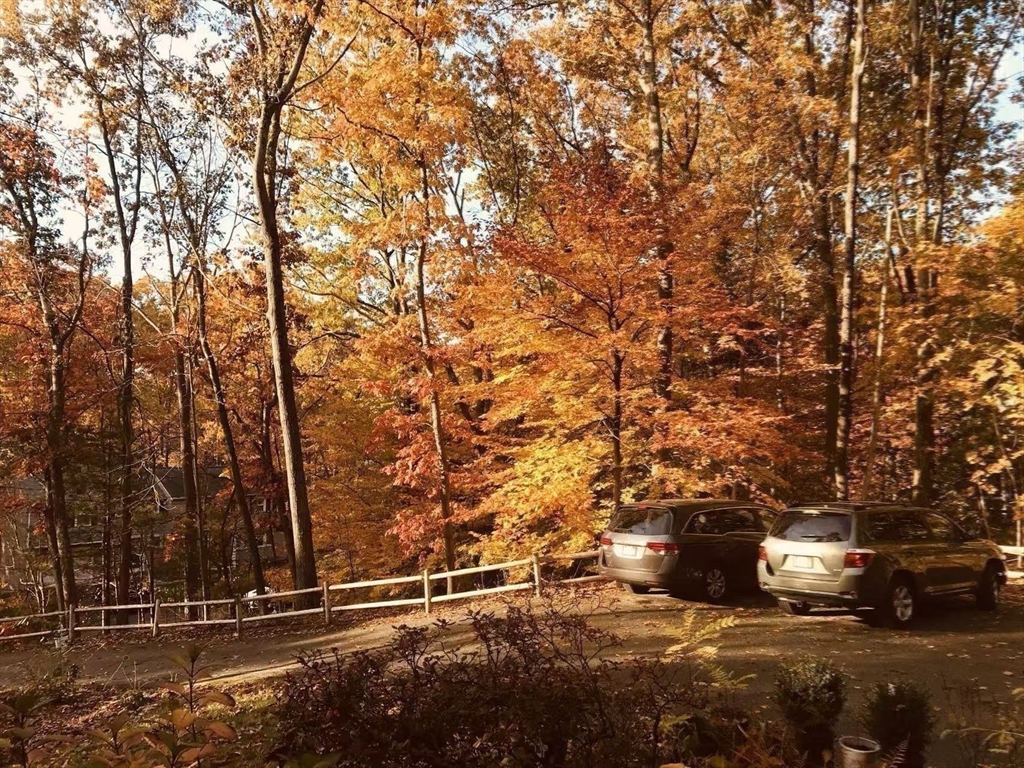 29 Dewey Rd, Lexington, MA Photo #36
