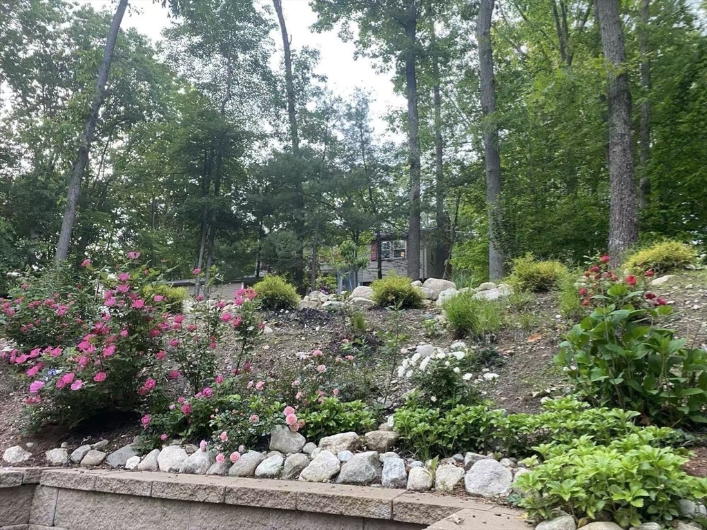 29 Dewey Rd, Lexington, MA Photo #35