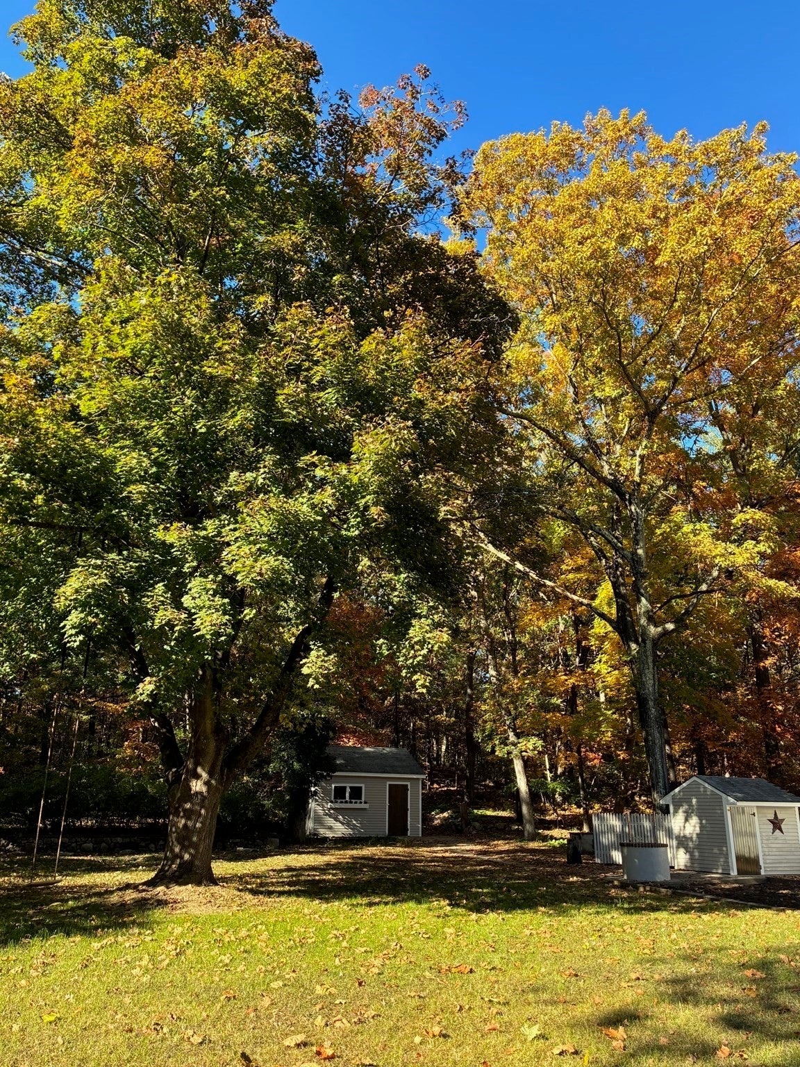 324 Pleasant Street, Franklin, MA Photo #2