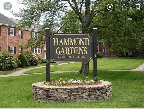 Photo of 11 Hammond Pond Pkwy #3, Newton, MA 02467 (MLS # 73447423)