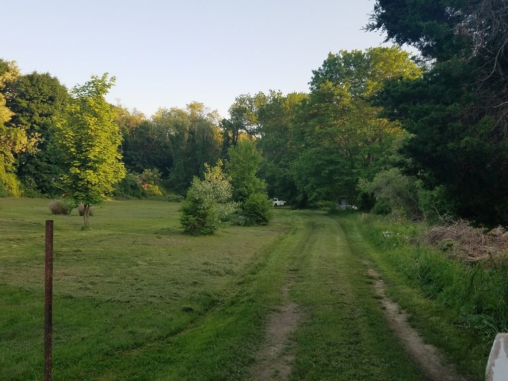 0 Palmer