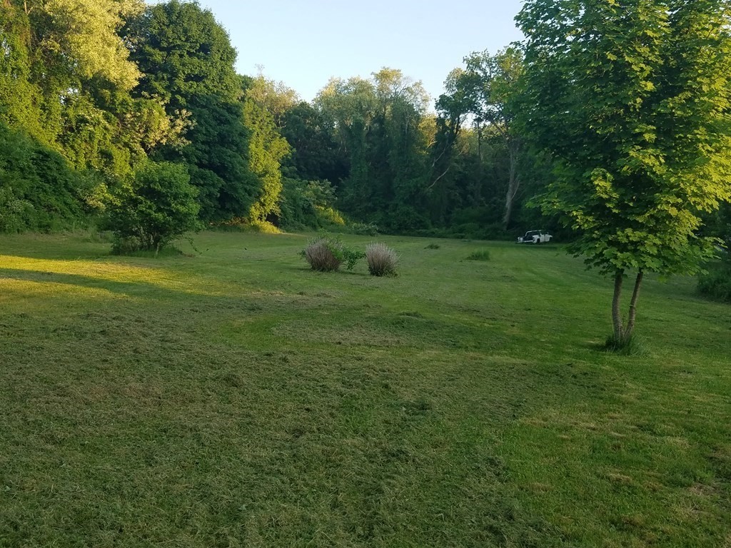 0 Palmer