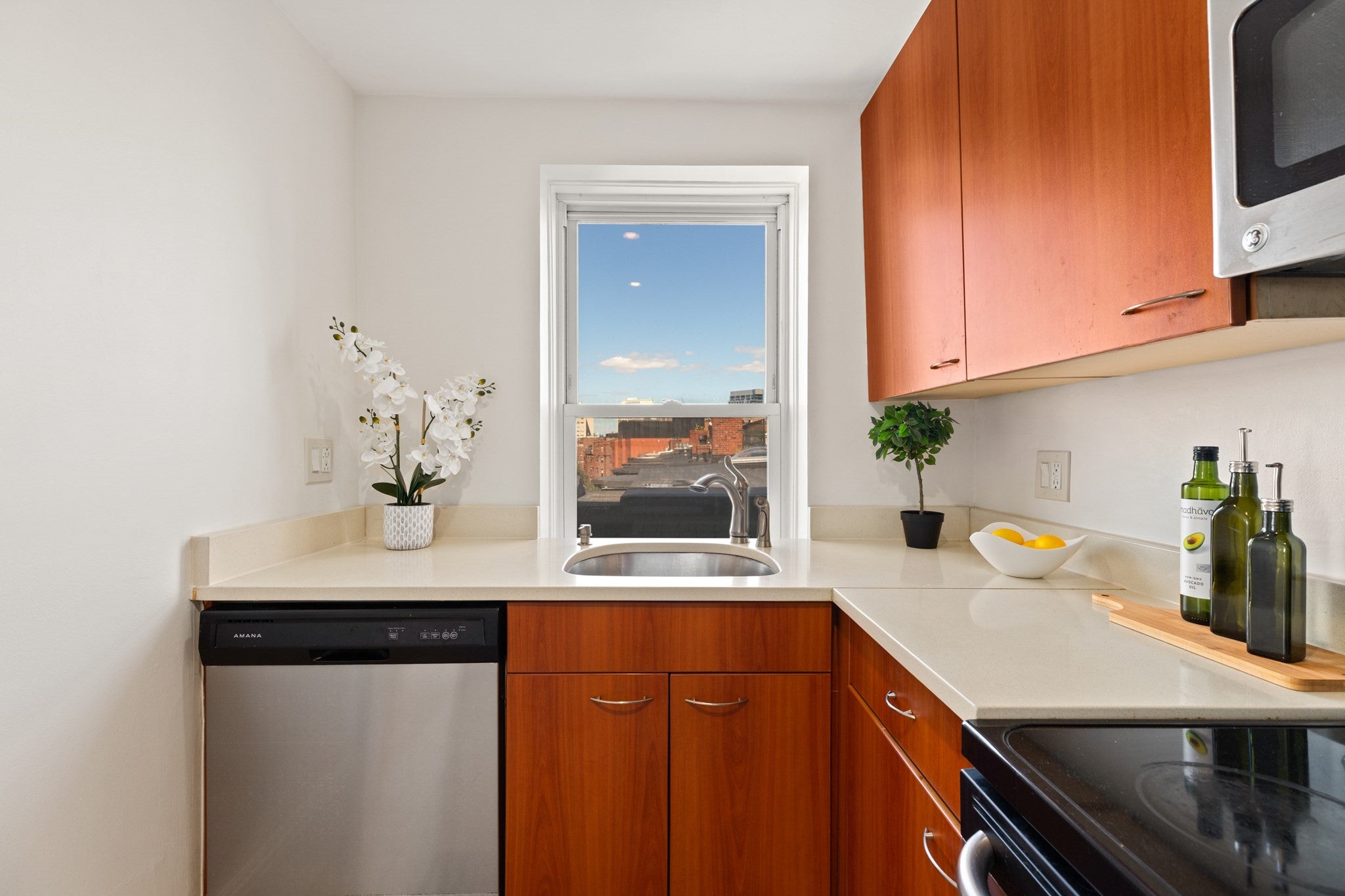 492 Massachusetts Ave #63, Boston, MA, 492 Massachusetts Ave #63, Boston, MA Photo #9