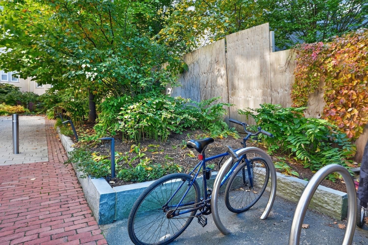 1619 Massachusetts Ave #36, Cambridge, MA, 1619 Massachusetts Ave #36, Cambridge, MA Photo #23
