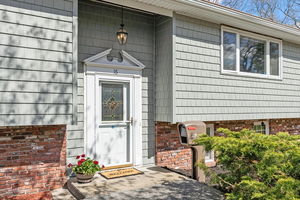 16 Briscoe Street