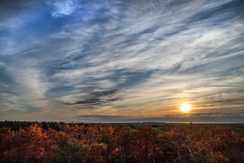 40 Firefly Point 40 Plymouth MA 02360