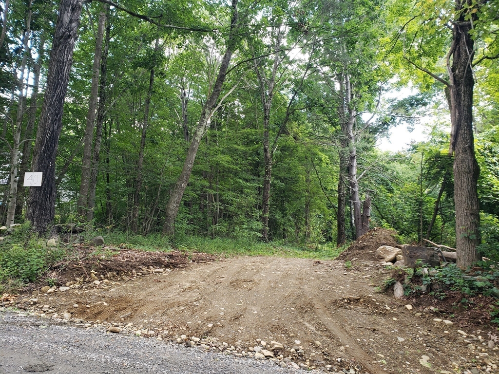 40 Harlow Clark Rd