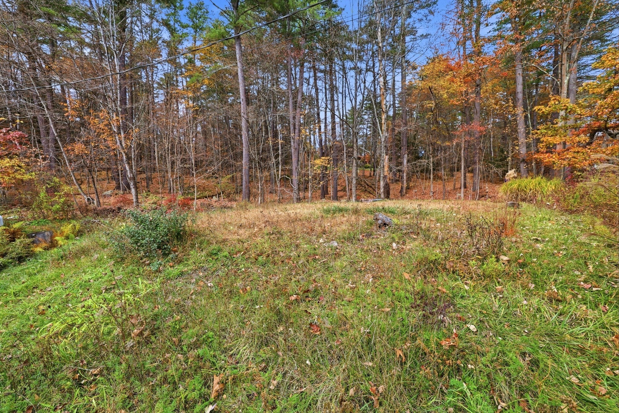 190 Montague Rd, Leverett, MA, 190 Montague Rd, Leverett, MA Photo #30