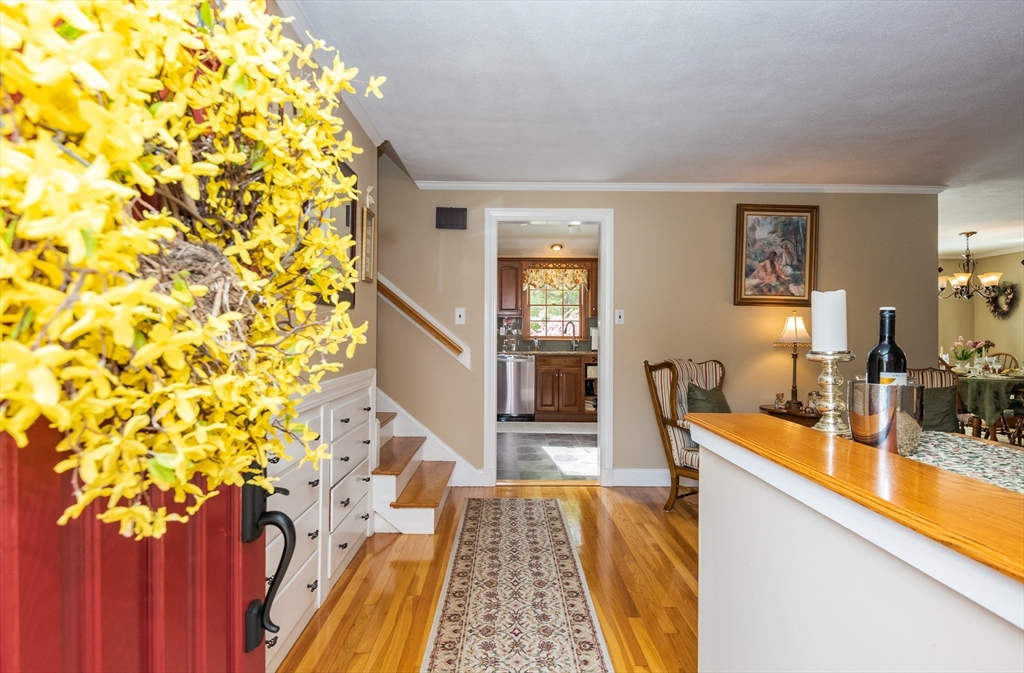64 Dana Road