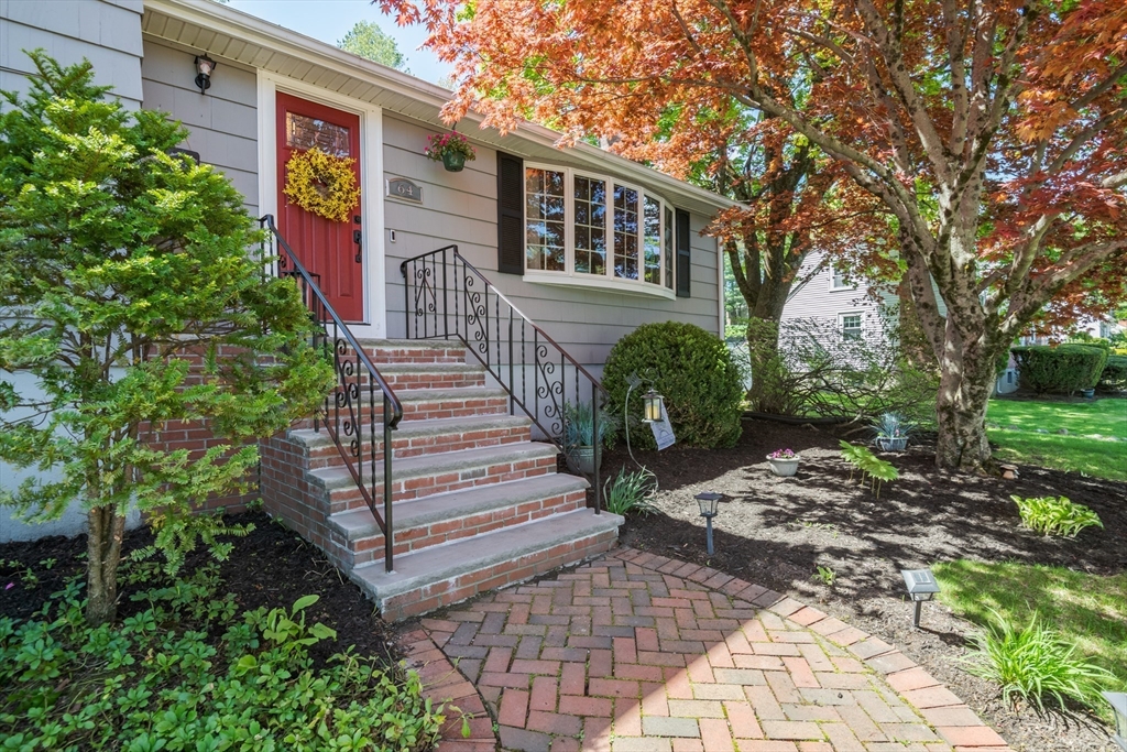 64 Dana Road