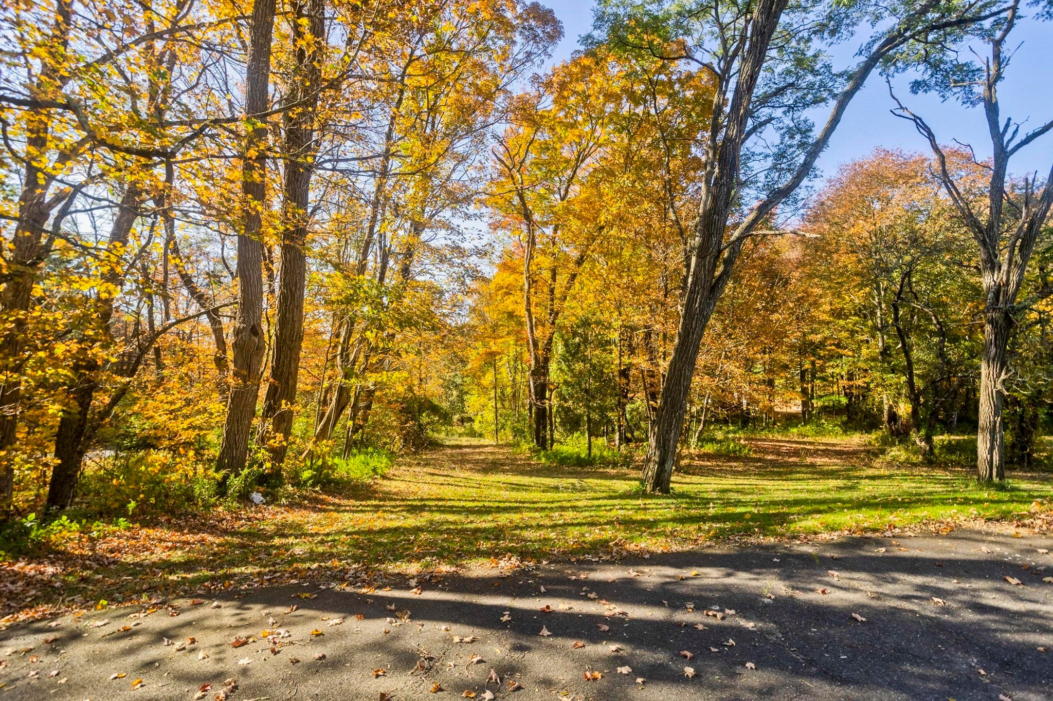 88 Buffam Rd, Pelham, MA, 88 Buffam Rd, Pelham, MA Photo #35