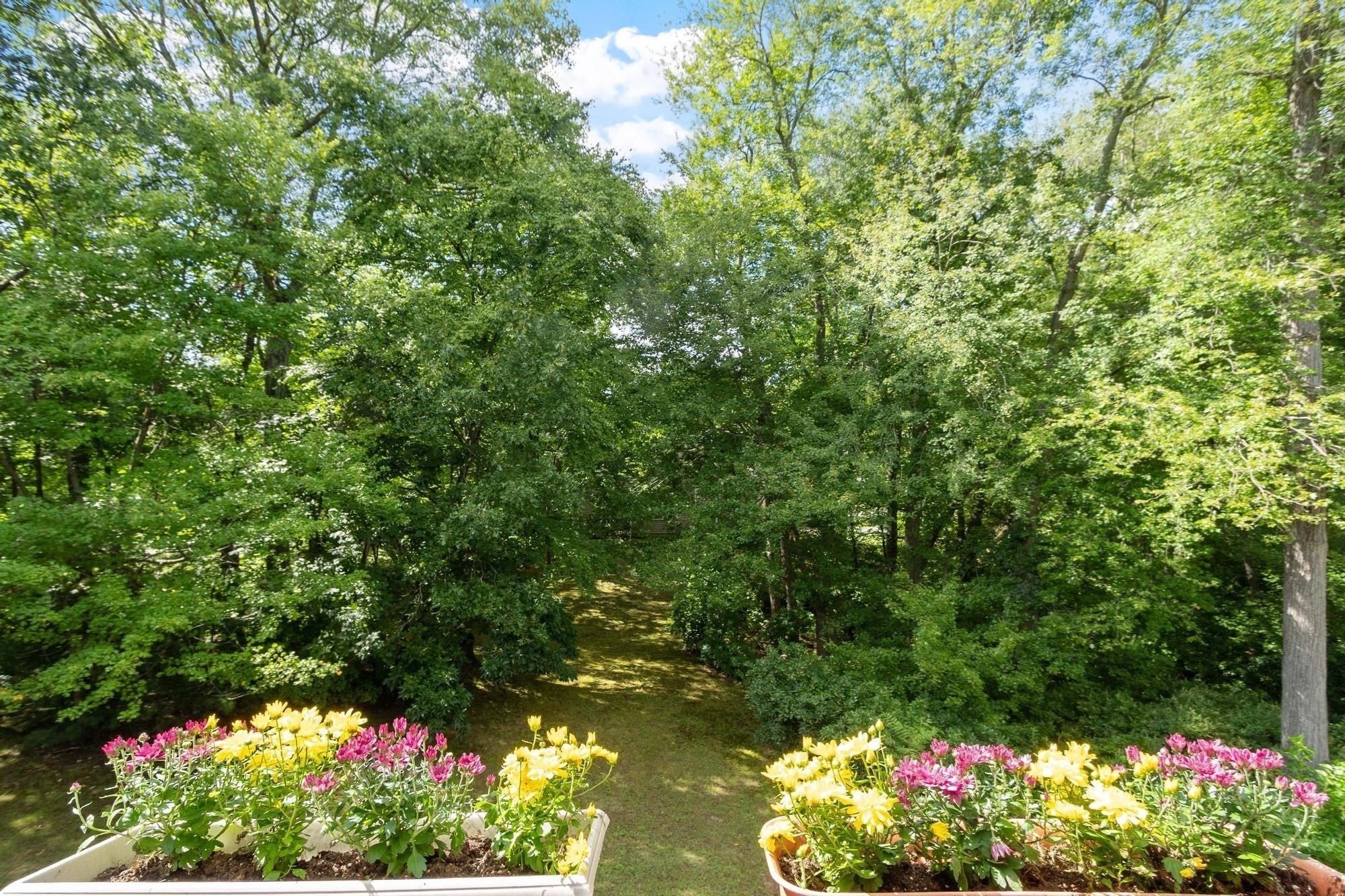 179 Bishops Forest Dr #179, Waltham, MA, 179 Bishops Forest Dr #179, Waltham, MA Photo #33