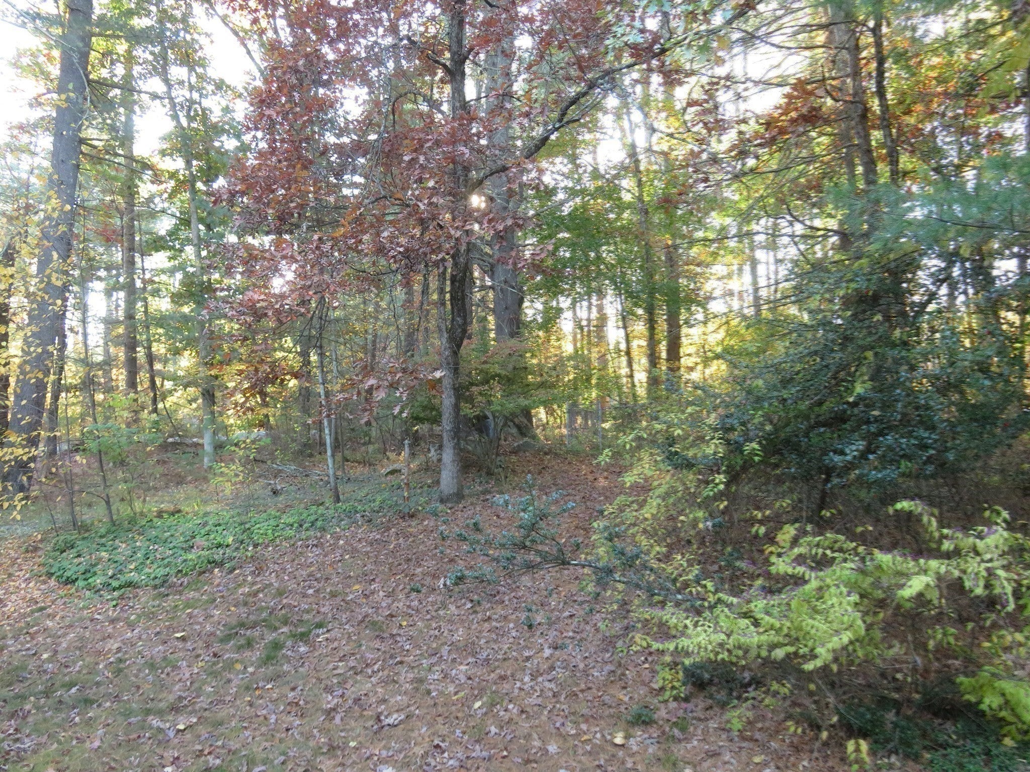 168 Liberty Square Rd, Boxborough, MA, 168 Liberty Square Rd, Boxborough, MA Photo #27