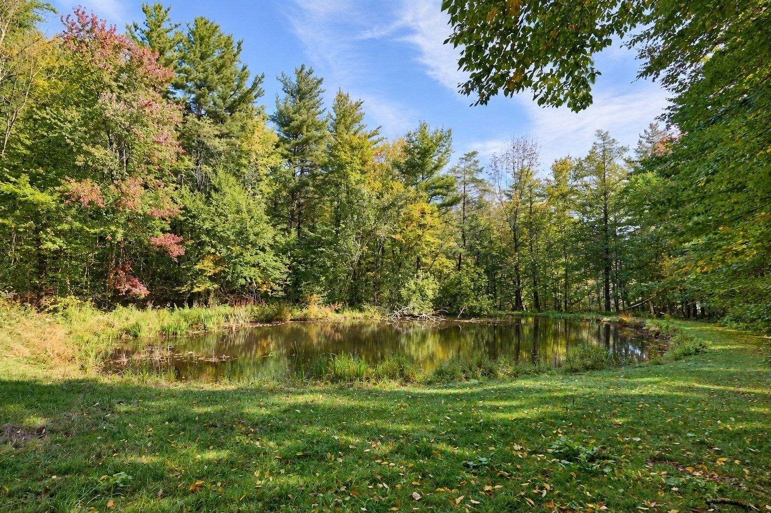97 Forget Road, Hawley, MA, 97 Forget Road, Hawley, MA Photo #34
