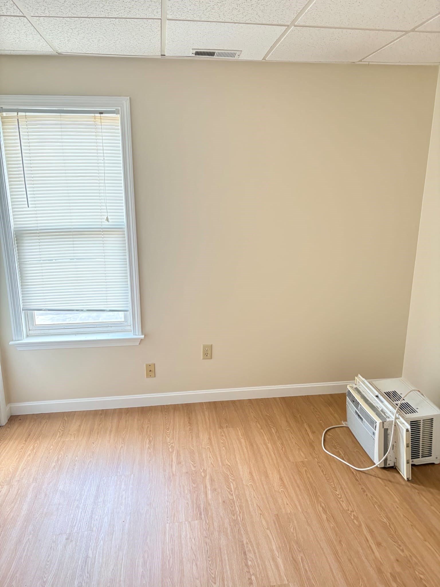 56 Tripp St 3