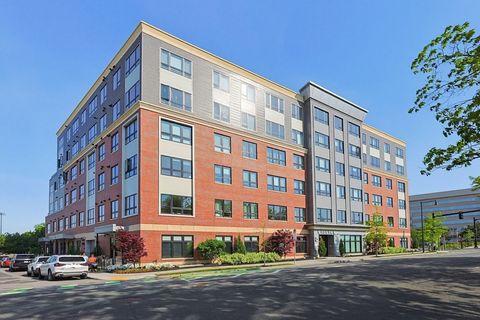 70 Leo Birmingham Parkway 501 Boston MA 02135