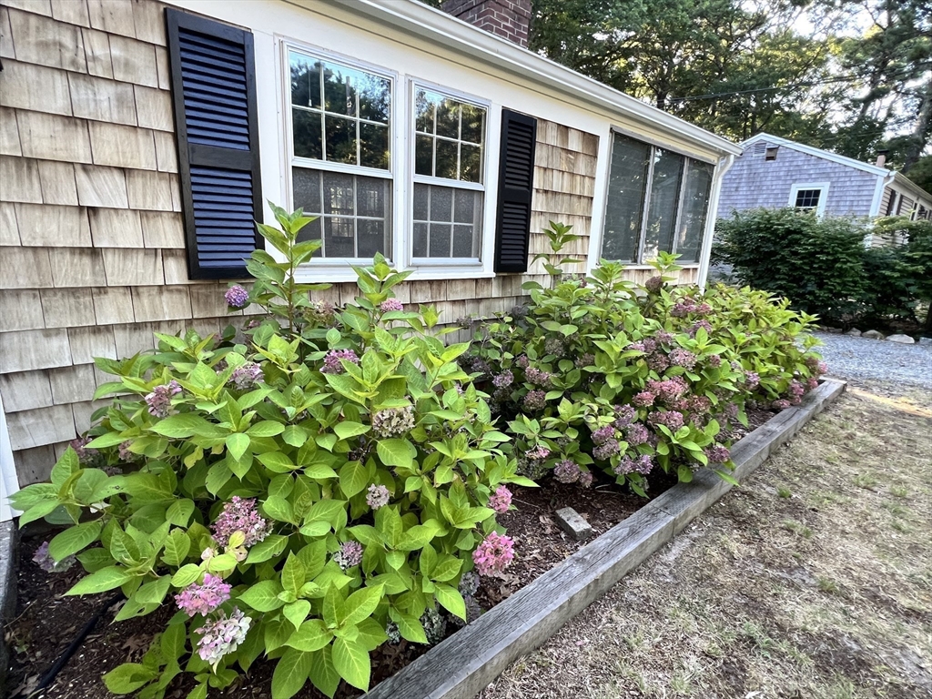15 Alexander Dr
