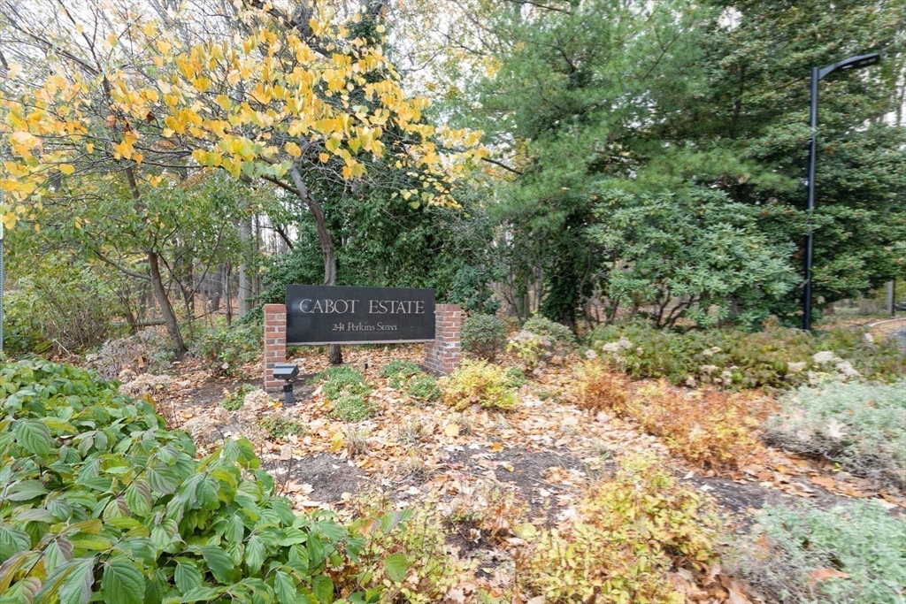 241 Perkins St #D204, Boston, MA Photo #33