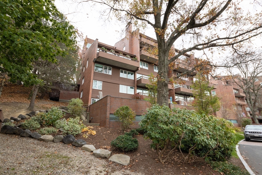 241 Perkins St D204