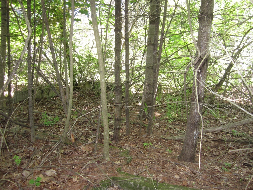 38 Bates Road