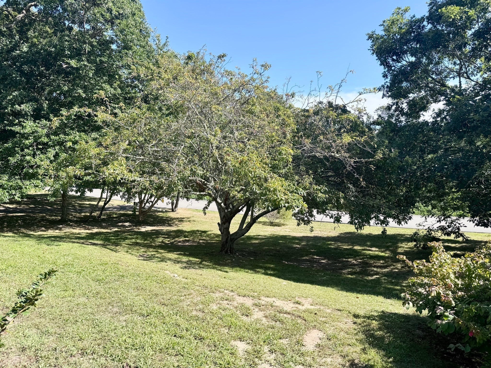 42 Vineyard Ave, Barnstable, MA, 42 Vineyard Ave, Barnstable, MA Photo #36