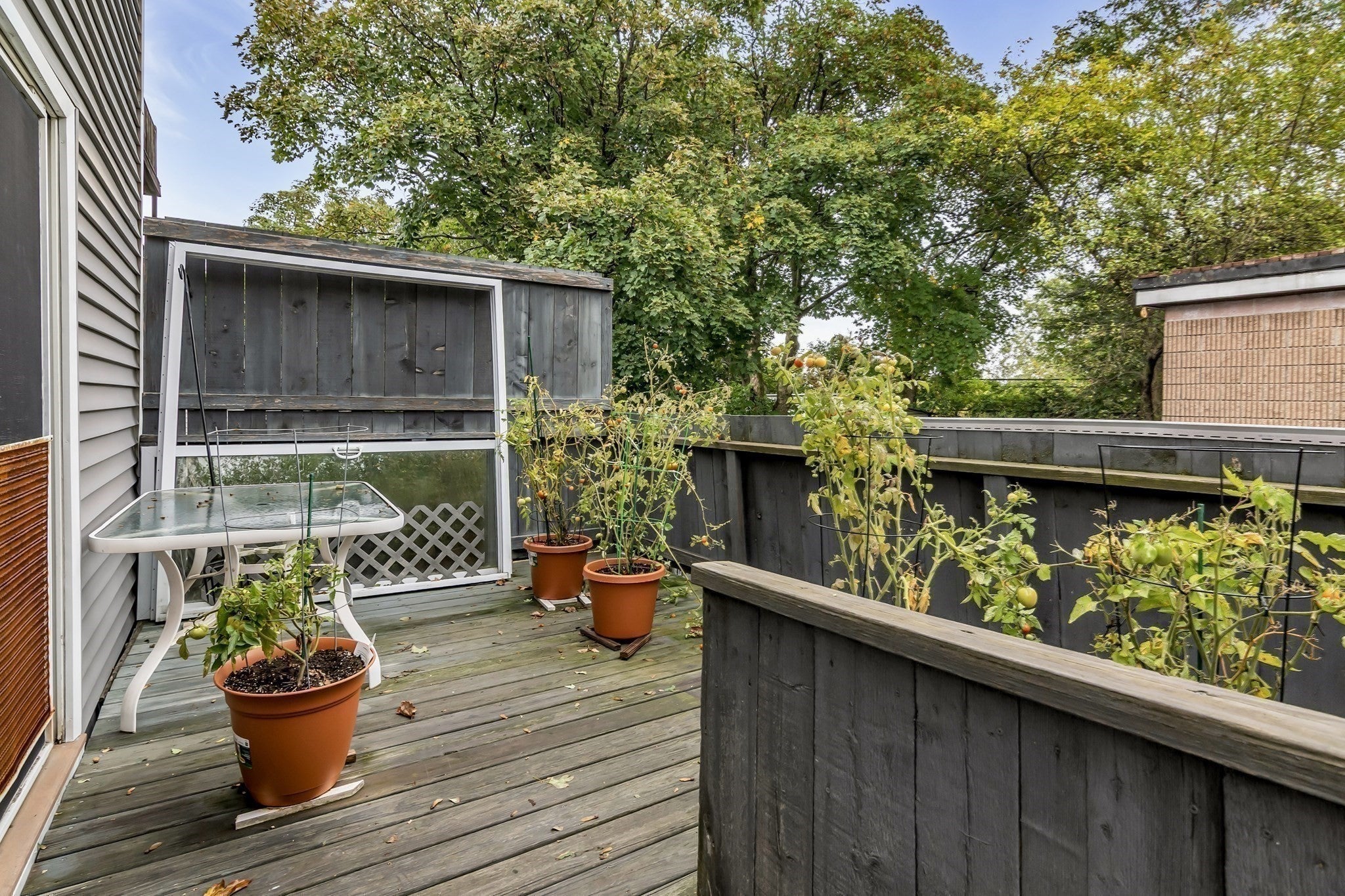 415 Crescent Ave, Chelsea, MA, 415 Crescent Ave, Chelsea, MA Photo #28