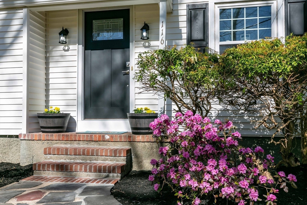 116 Holden St