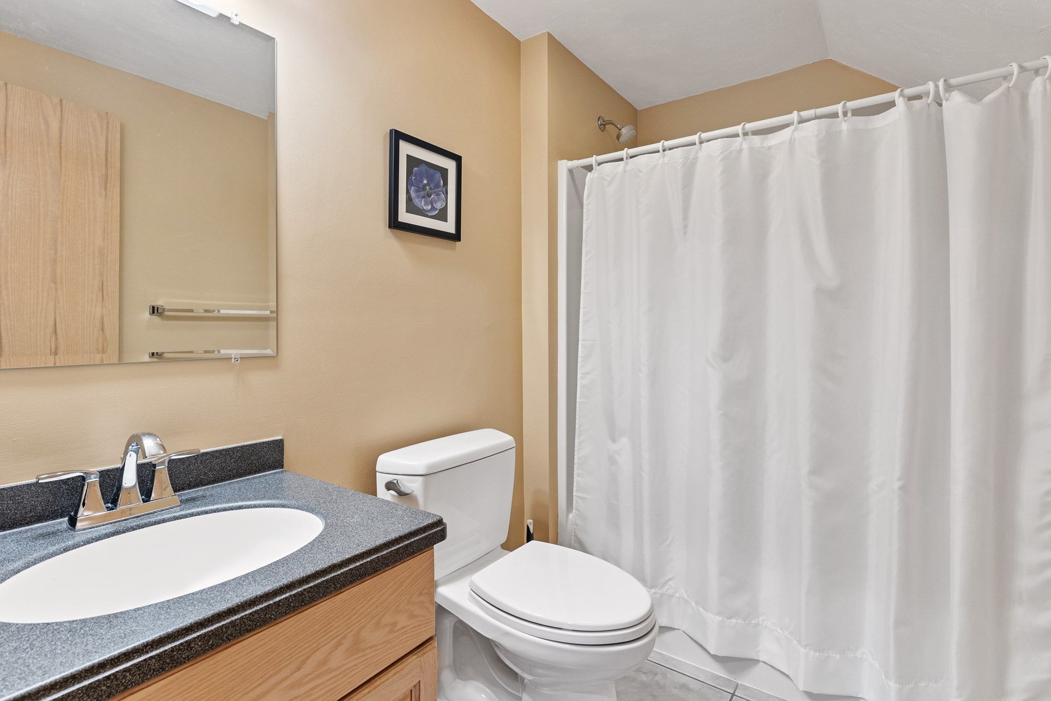 244 Algonquin Trail #D, Ashland, MA, 244 Algonquin Trail #D, Ashland, MA Photo #21