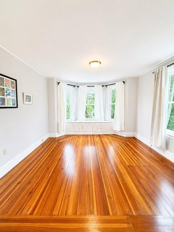 374 Massachusetts Ave #3, Arlington, MA, 374 Massachusetts Ave #3, Arlington, MA Photo #9
