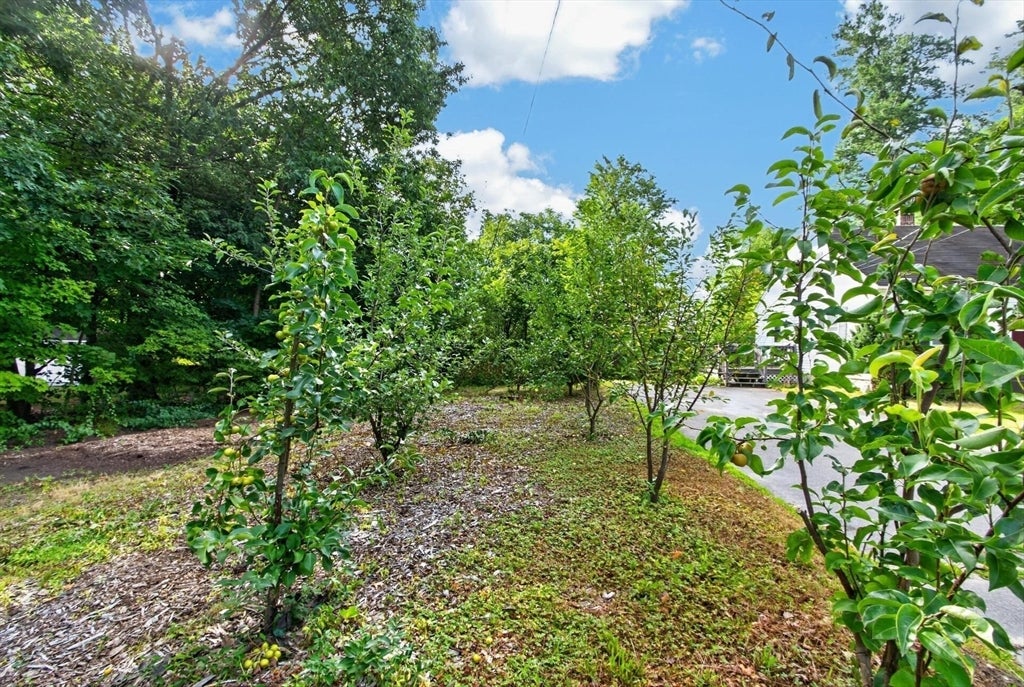 542 Wanoosnoc Rd, Fitchburg, MA, 542 Wanoosnoc Rd, Fitchburg, MA Photo #16