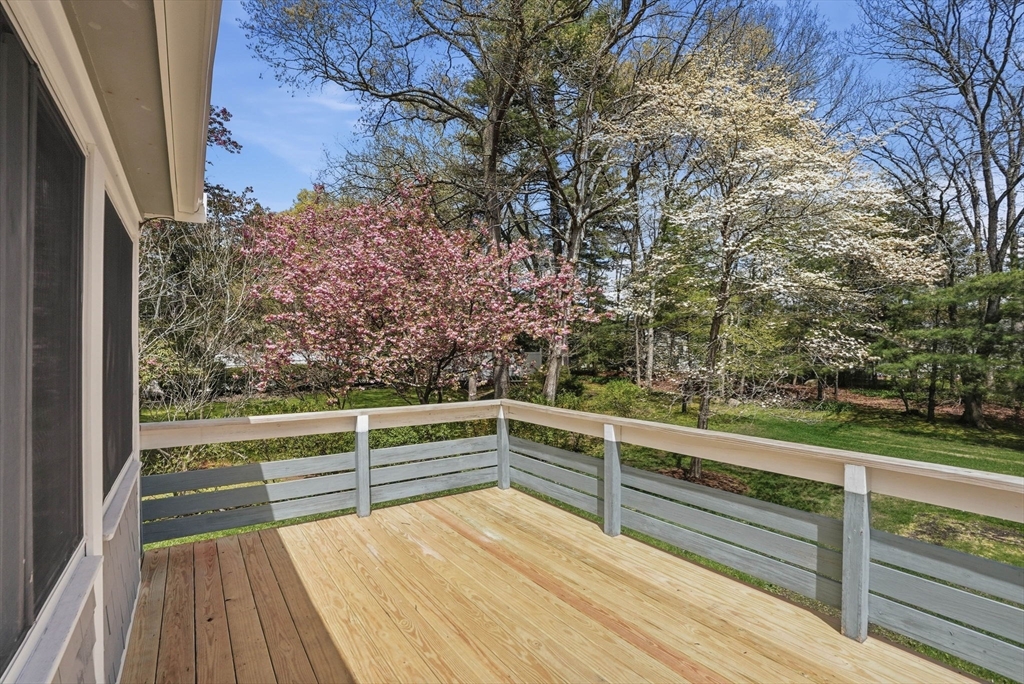 313 Plain St, Bridgewater, MA Photo #34