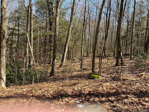 Lot 55 Wendell Rd New Salem MA 01355