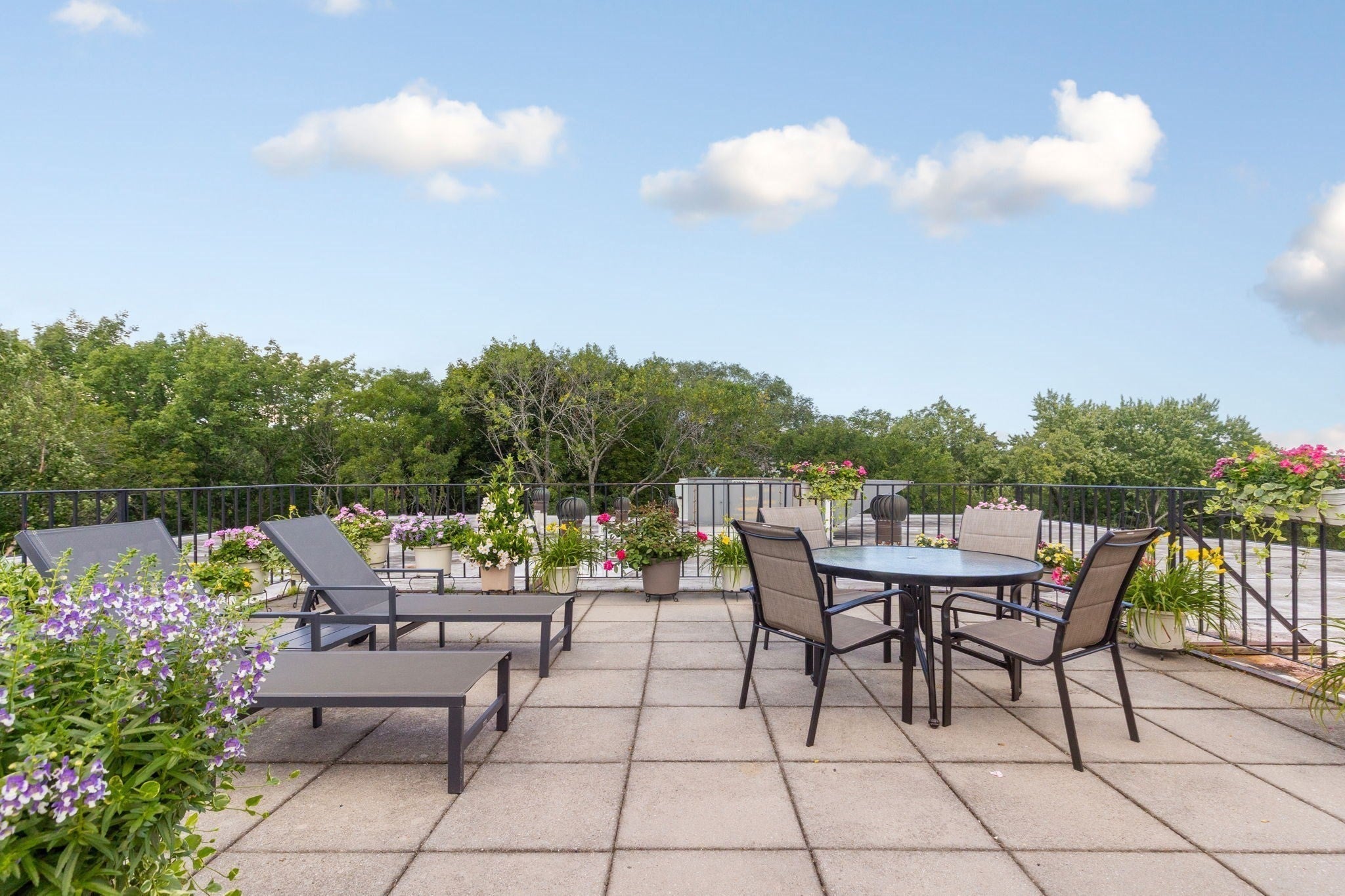 975 Massachusetts Avenue #108, Arlington, MA, 975 Massachusetts Avenue #108, Arlington, MA Photo #19