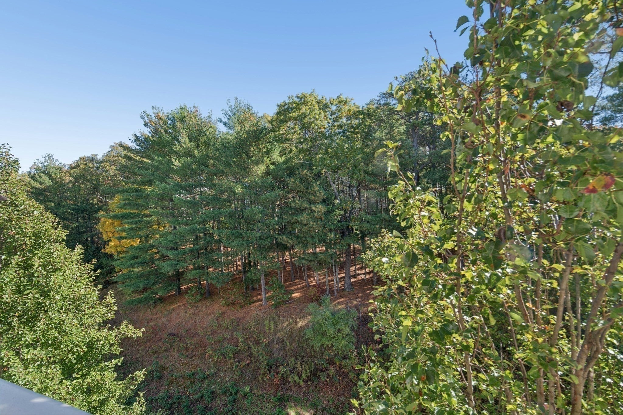 15 Morgan Drive #406, Natick, MA, 15 Morgan Drive #406, Natick, MA Photo #1