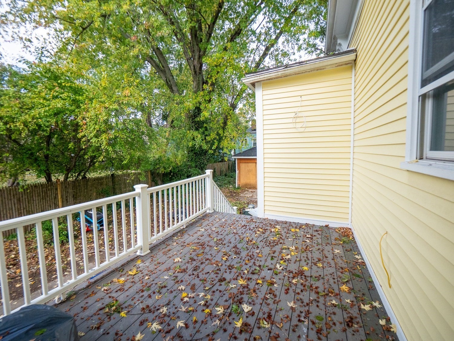 62 Welles Ave, Boston, MA Photo #32