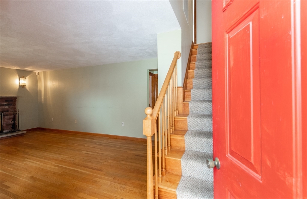 19 Dewitt Road