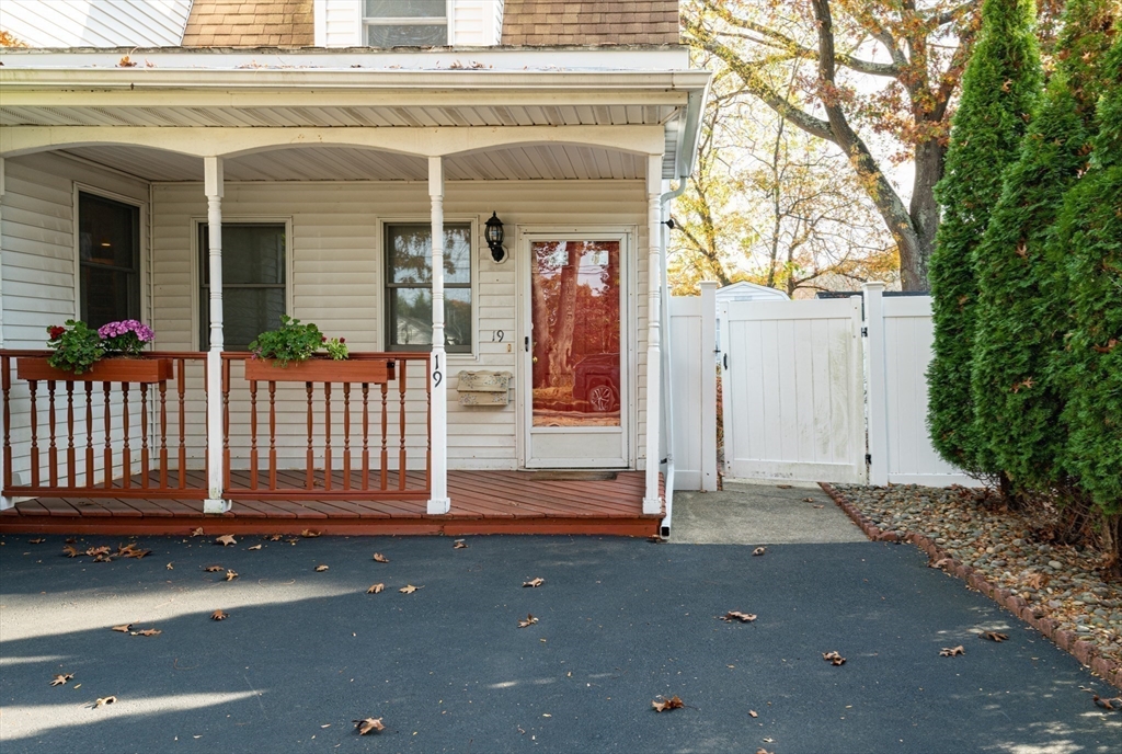 19 Dewitt Road