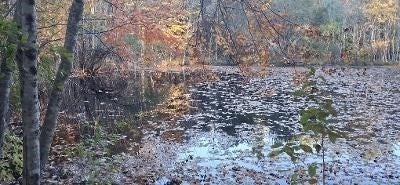 30 Wood Duck Road, Acushnet, MA, 30 Wood Duck Road, Acushnet, MA Photo #6