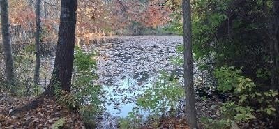 30 Wood Duck Road, Acushnet, MA, 30 Wood Duck Road, Acushnet, MA Photo #7
