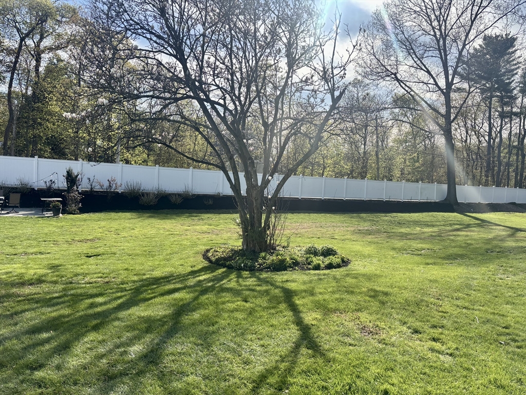 147 Canton Avenue