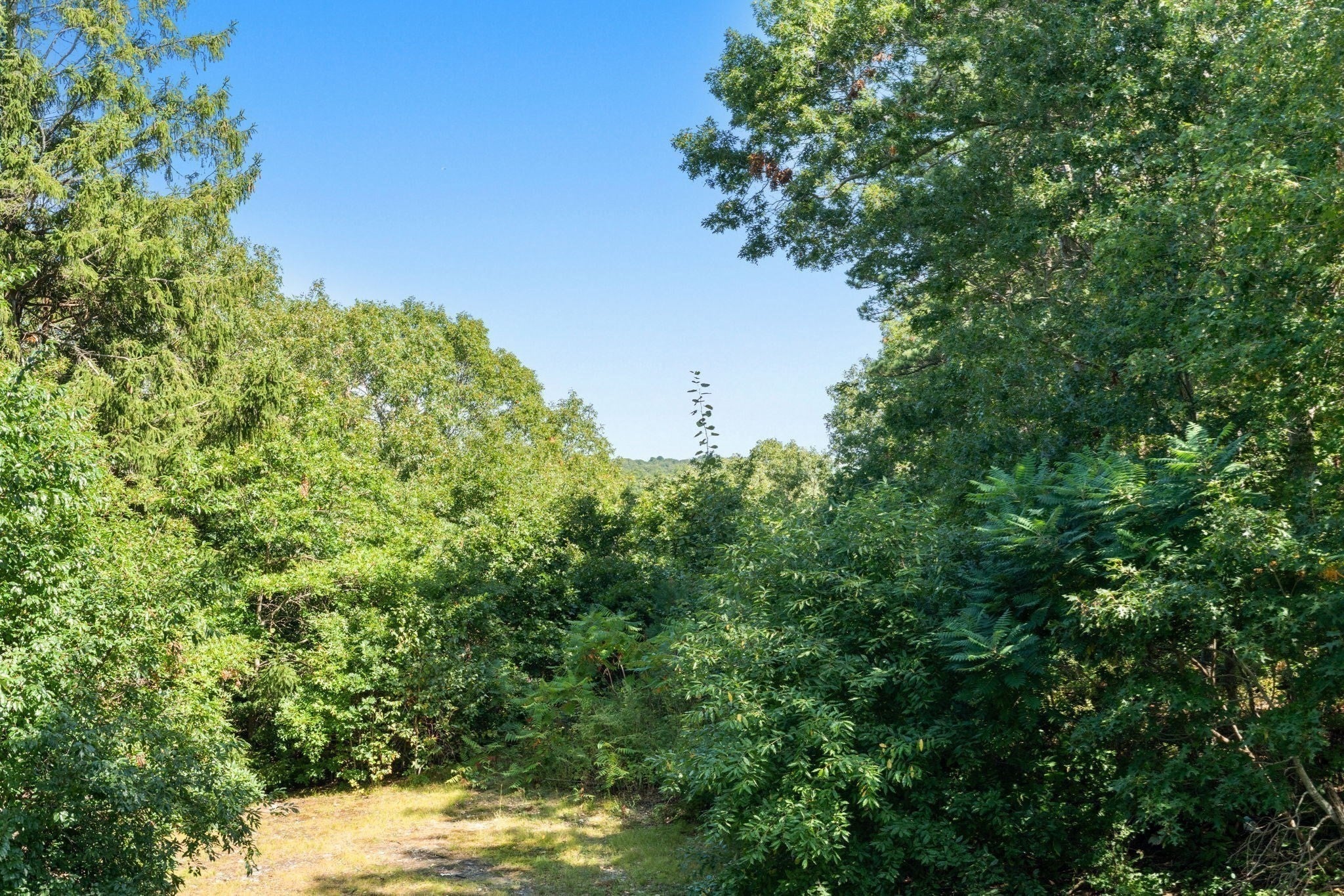 46 Wayne Rd, Bourne, MA, 46 Wayne Rd, Bourne, MA Photo #32