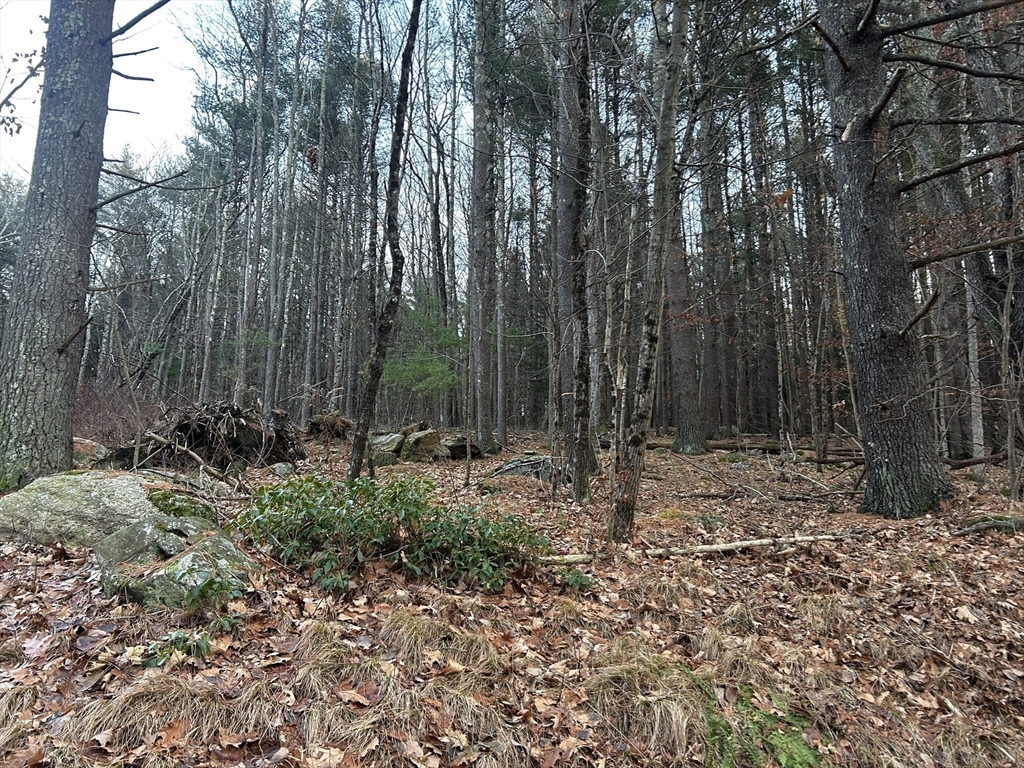 30 South Rd