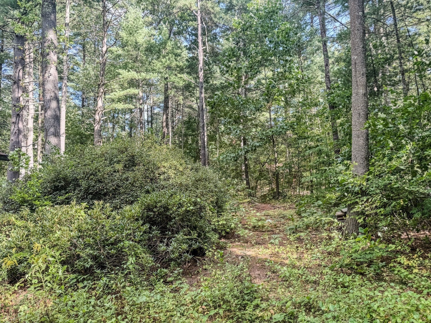 68 Stony Hill Road, Amherst, MA, 68 Stony Hill Road, Amherst, MA Photo #39